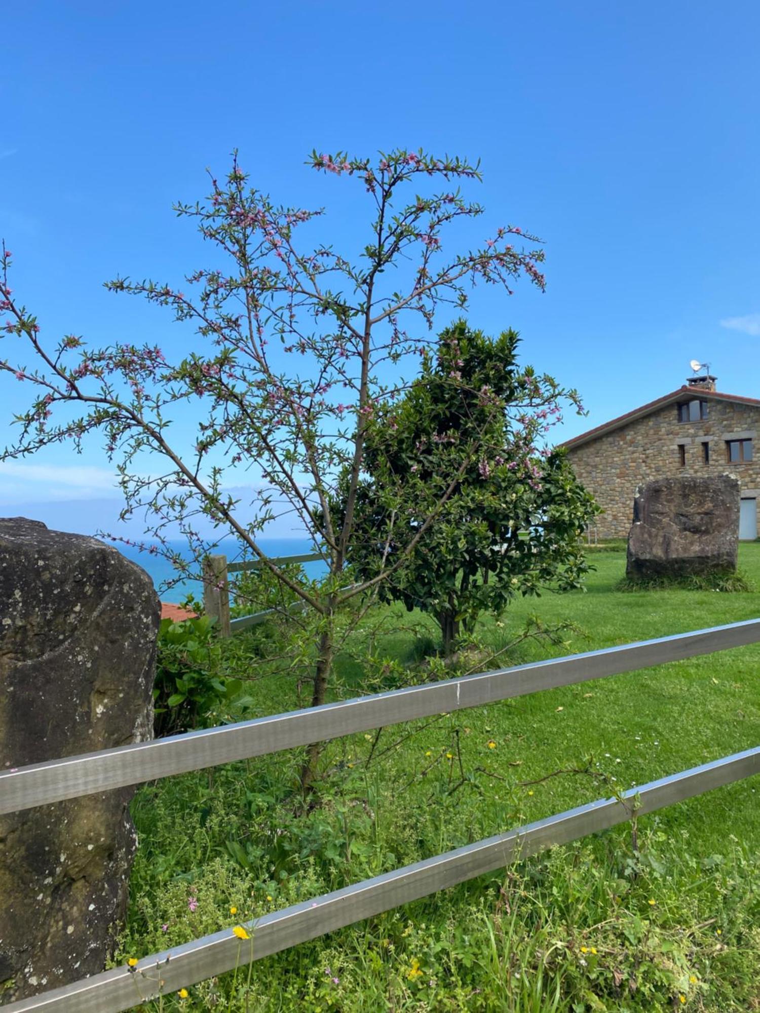 Agroturismo Itxaspe Orio Exterior photo